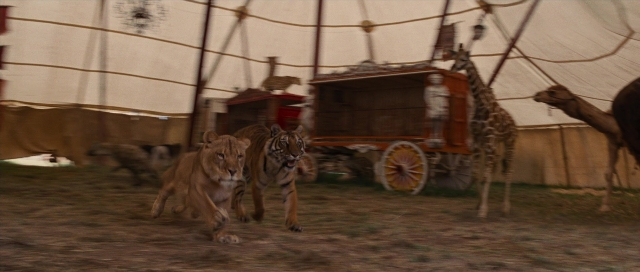 Wide shot frame from Water for Elephants — walking, giraffe, tiger