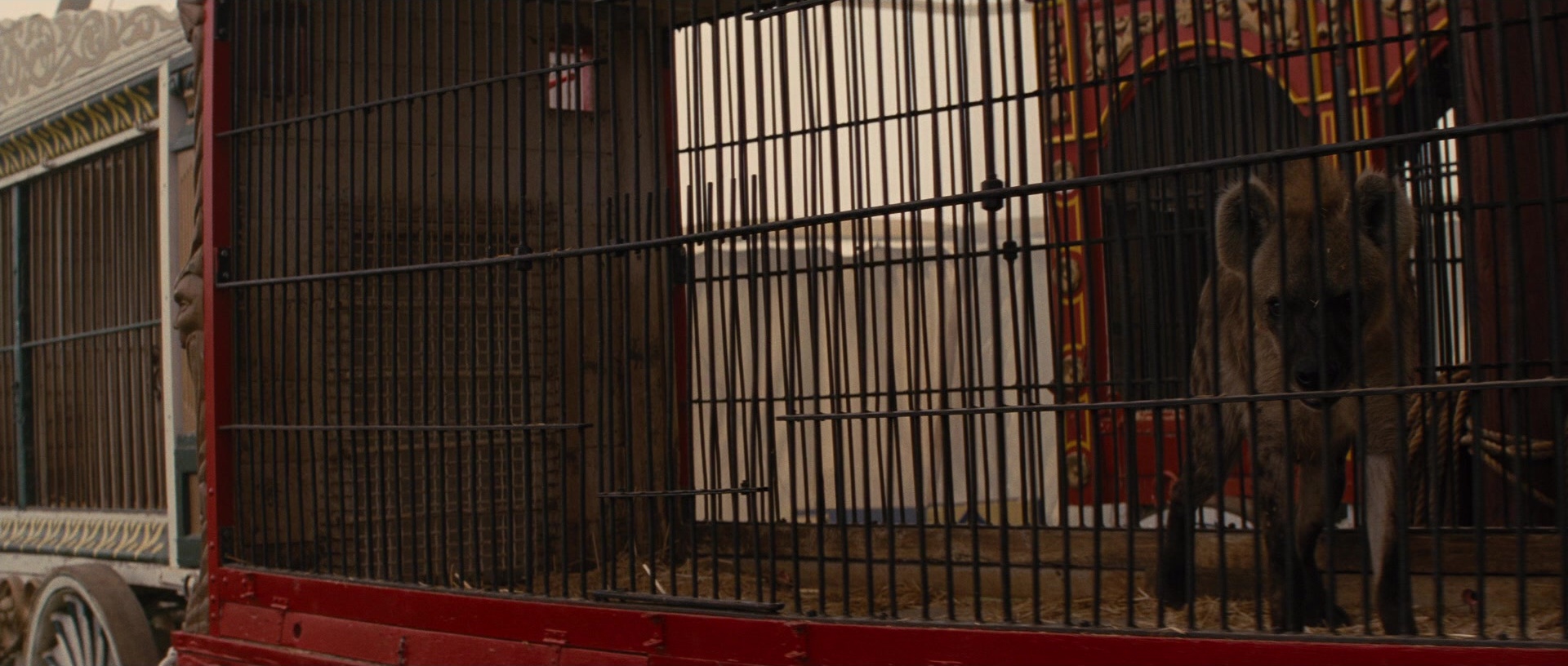 Water for Elephants (2011), wide, 2.35:1 — film still