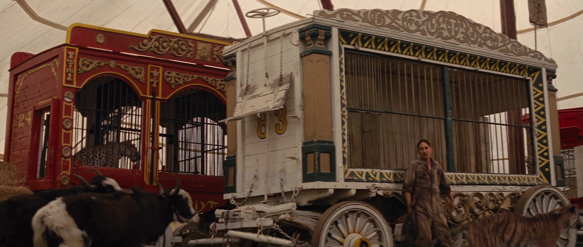 Water for Elephants (2011), wide, 2.35:1 — film still