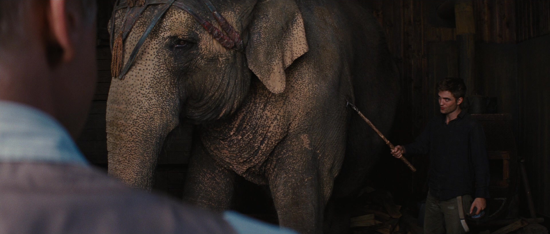 Water for Elephants (2011), wide, 2.35:1 — film still