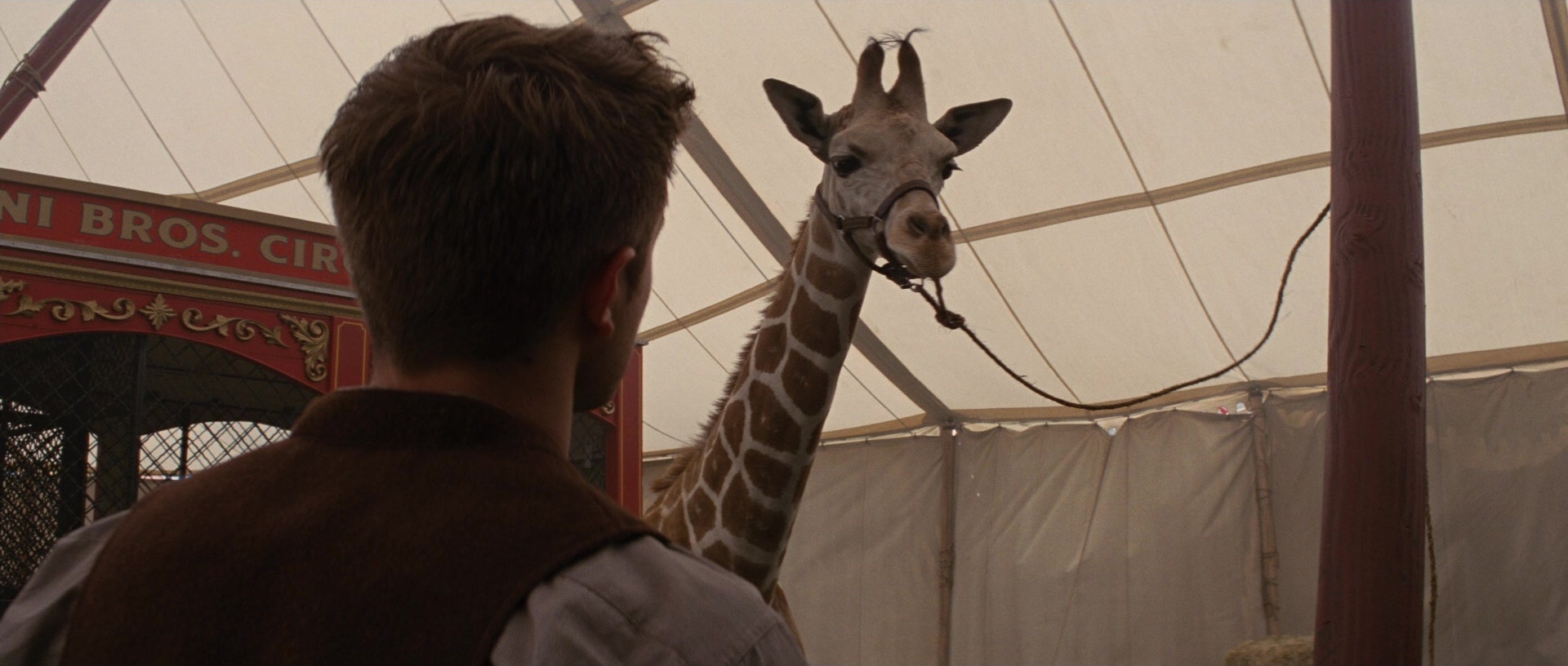 Water for Elephants (2011), unknown, 2.35:1 — film still