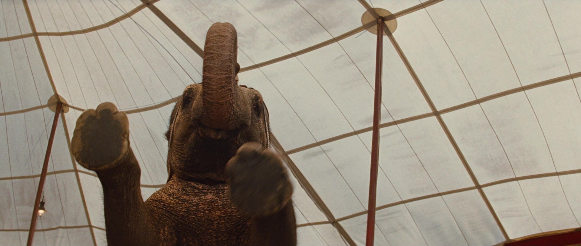 Water for Elephants (2011), unknown, 2.35:1 — film still