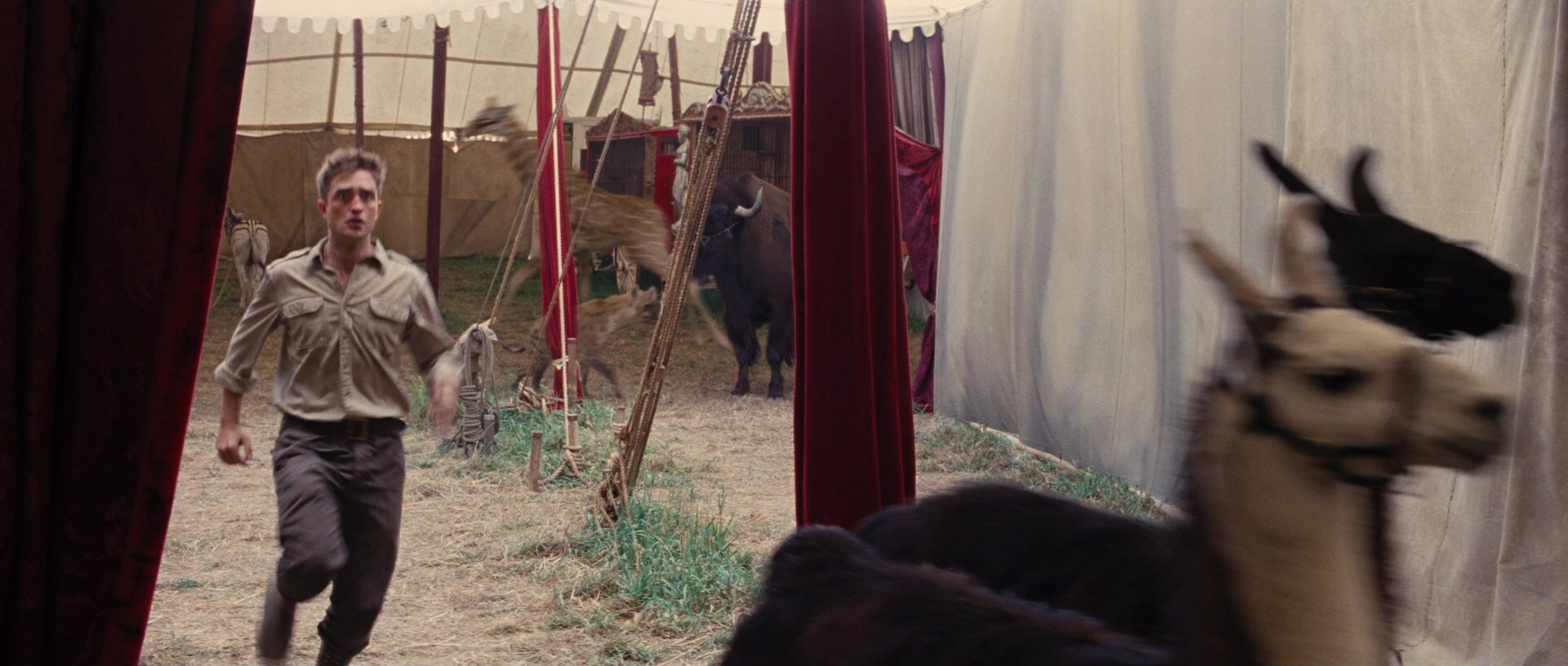Water for Elephants (2011), wide, 2.35:1 — film still