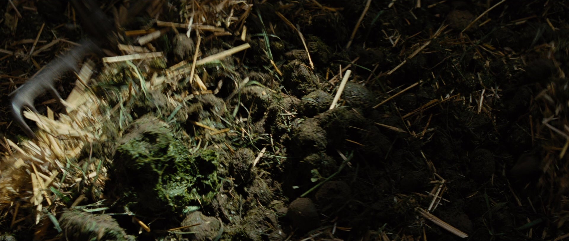 Water for Elephants (2011), wide, 2.35:1 — film still