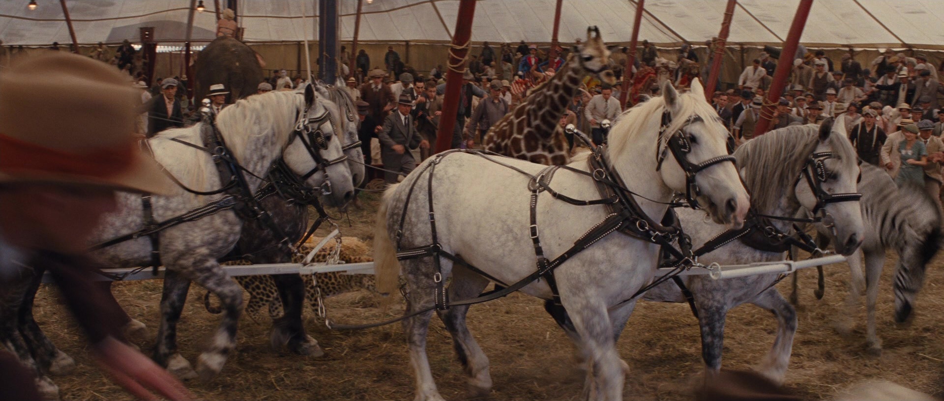 Water for Elephants (2011), wide, 2.35:1 — film still