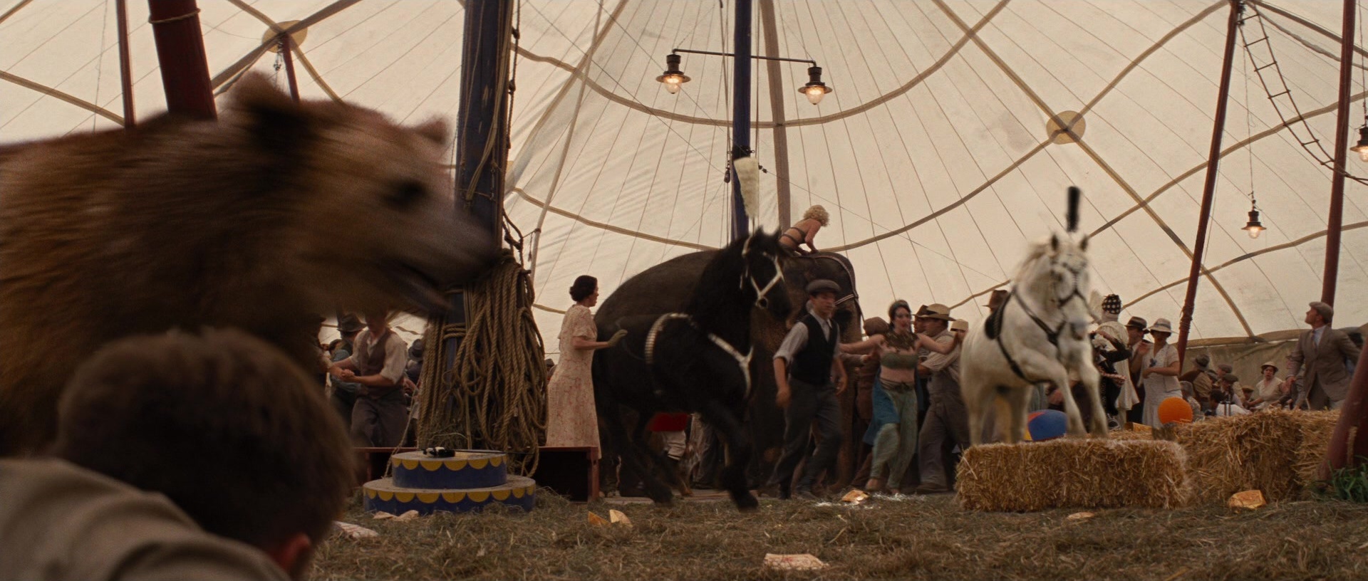 Water for Elephants (2011), wide, 2.35:1 — film still