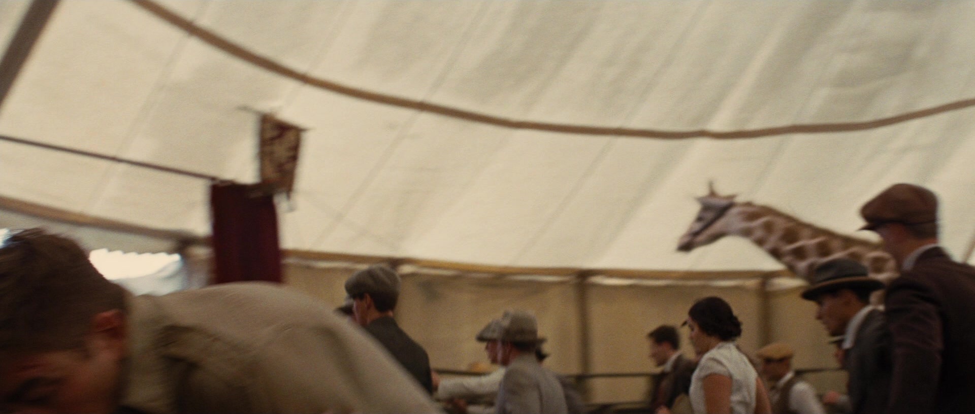 Water for Elephants (2011), wide, 2.35:1 — film still