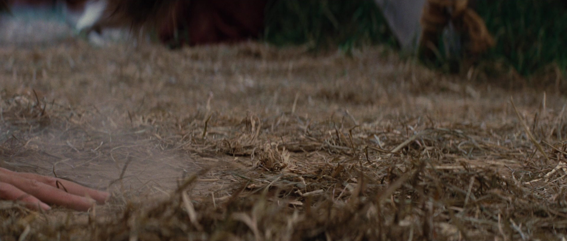 Water for Elephants (2011), wide, 2.35:1 — film still