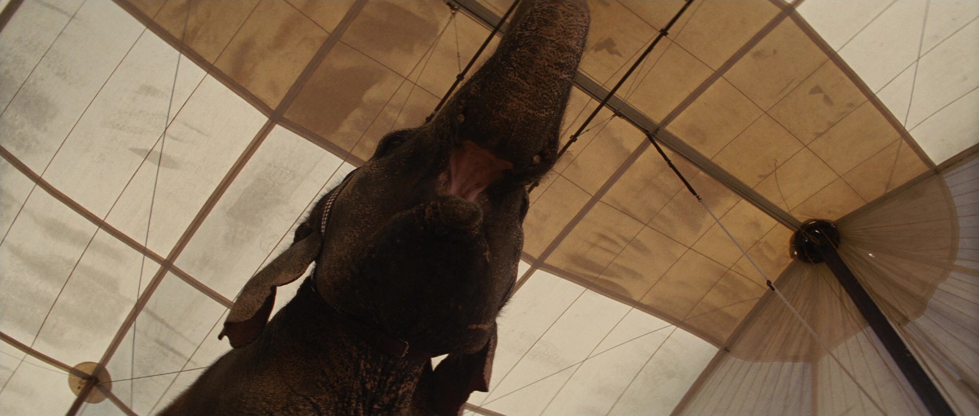 Water for Elephants (2011), unknown, 2.35:1 — film still