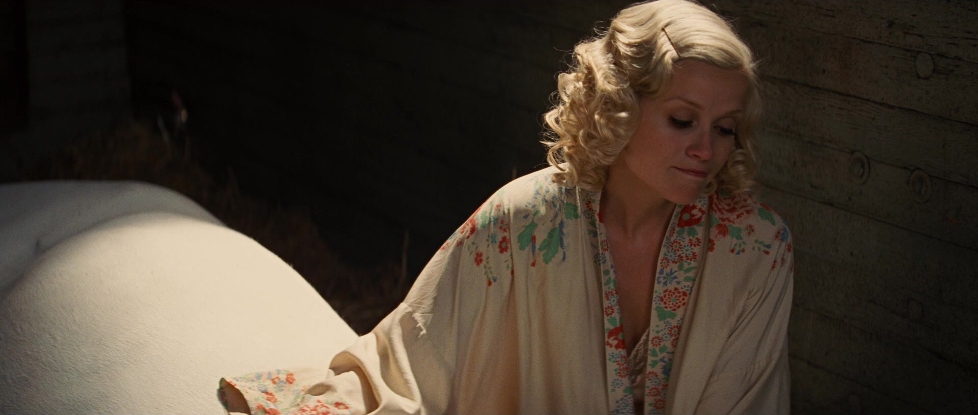 Water for Elephants (2011), wide, 2.35:1 — film still