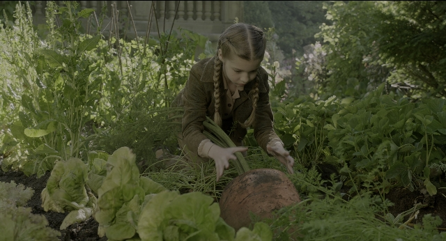 seria-138889.jpg
