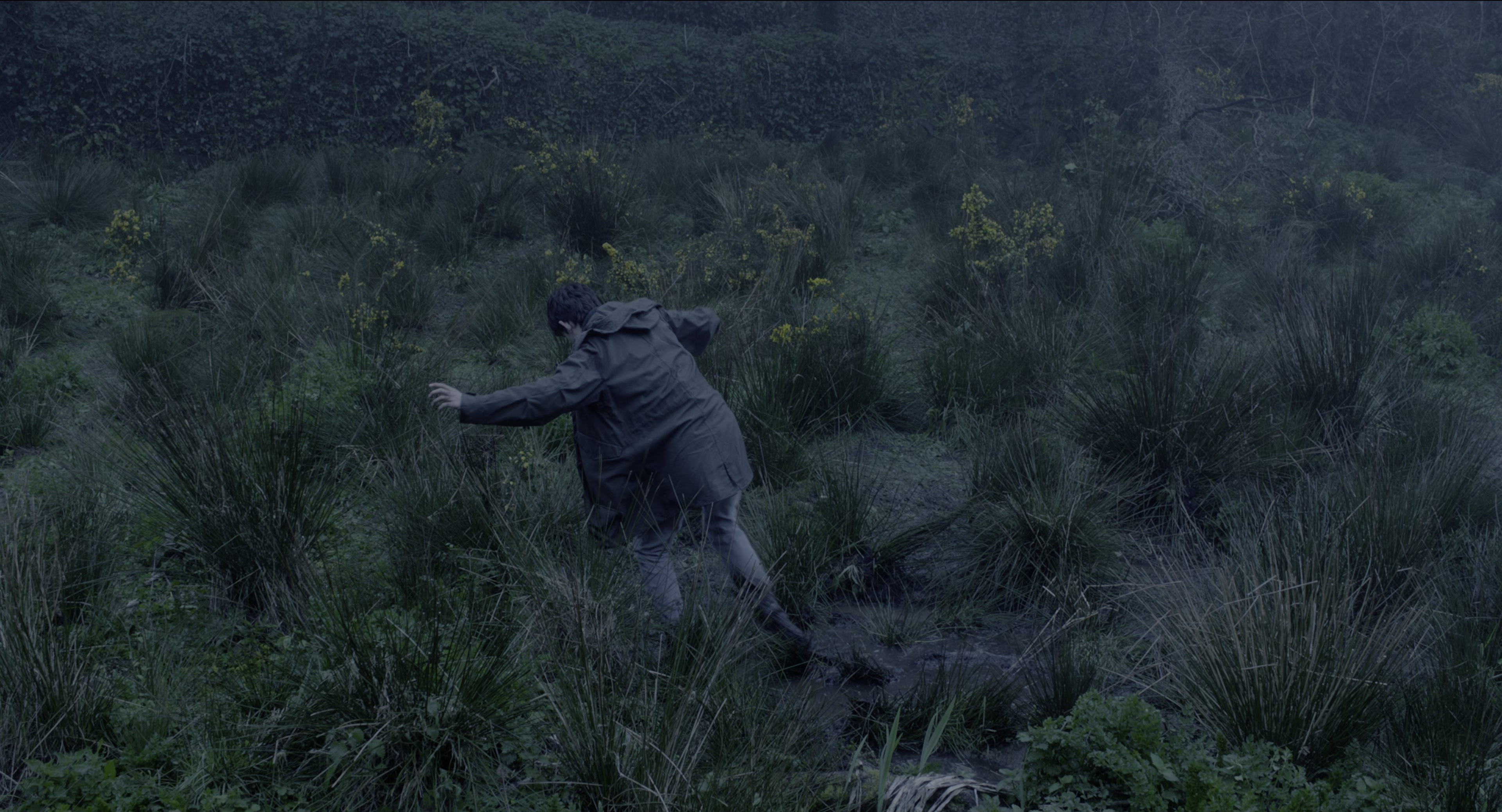 Miss Peregrine's Home for Peculiar Children (2016), wide, 1.85:1 — film still