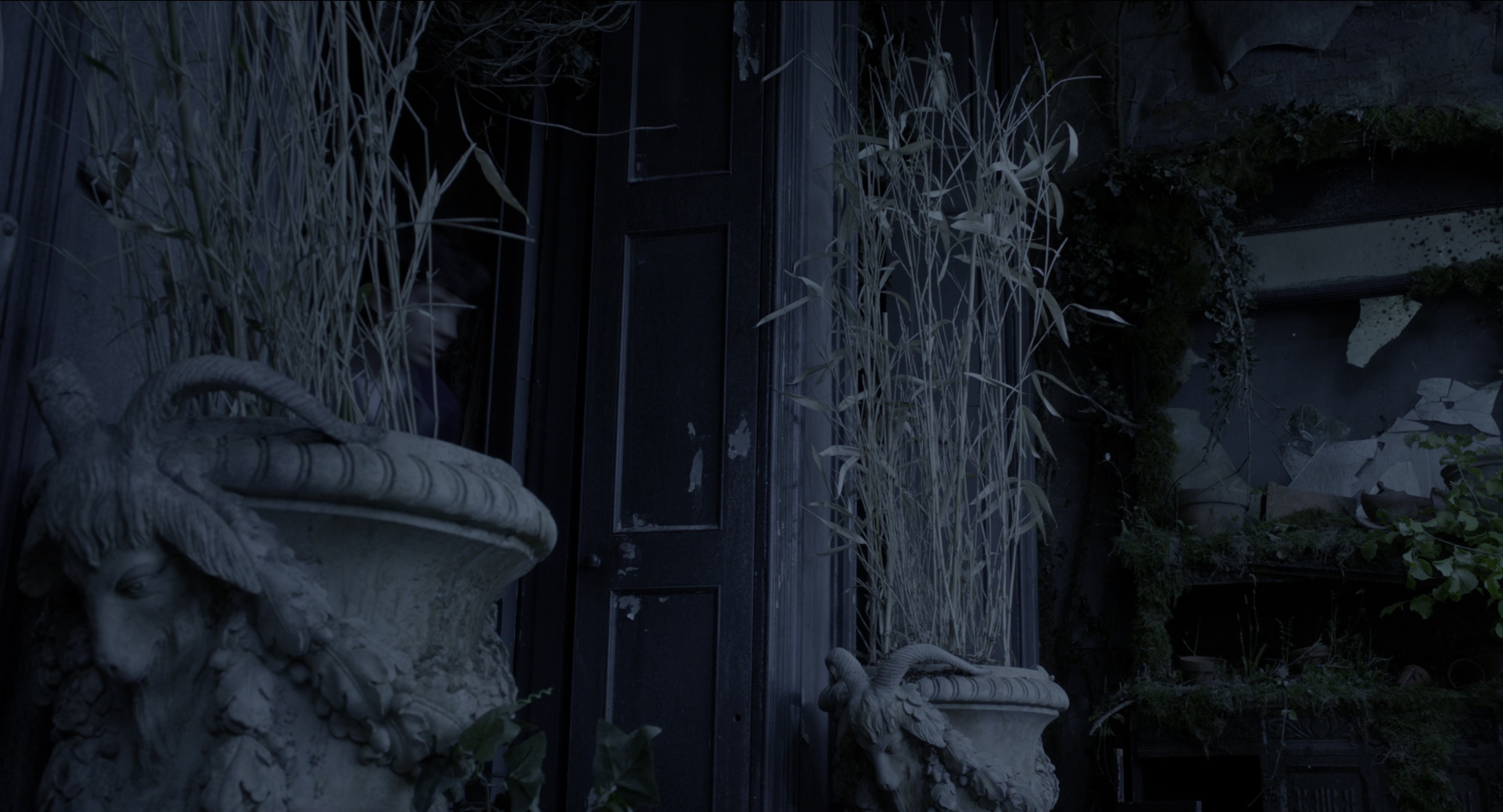 Miss Peregrine's Home for Peculiar Children (2016), wide, 1.85:1 — film still