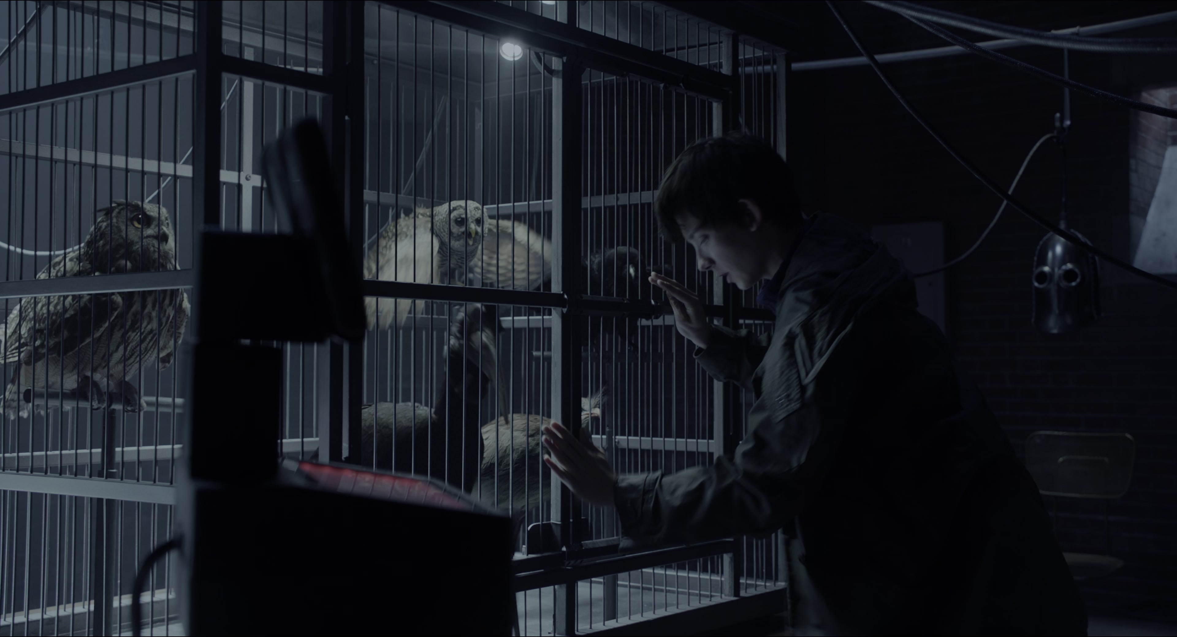 Miss Peregrine's Home for Peculiar Children (2016), wide, 1.85:1 — film still