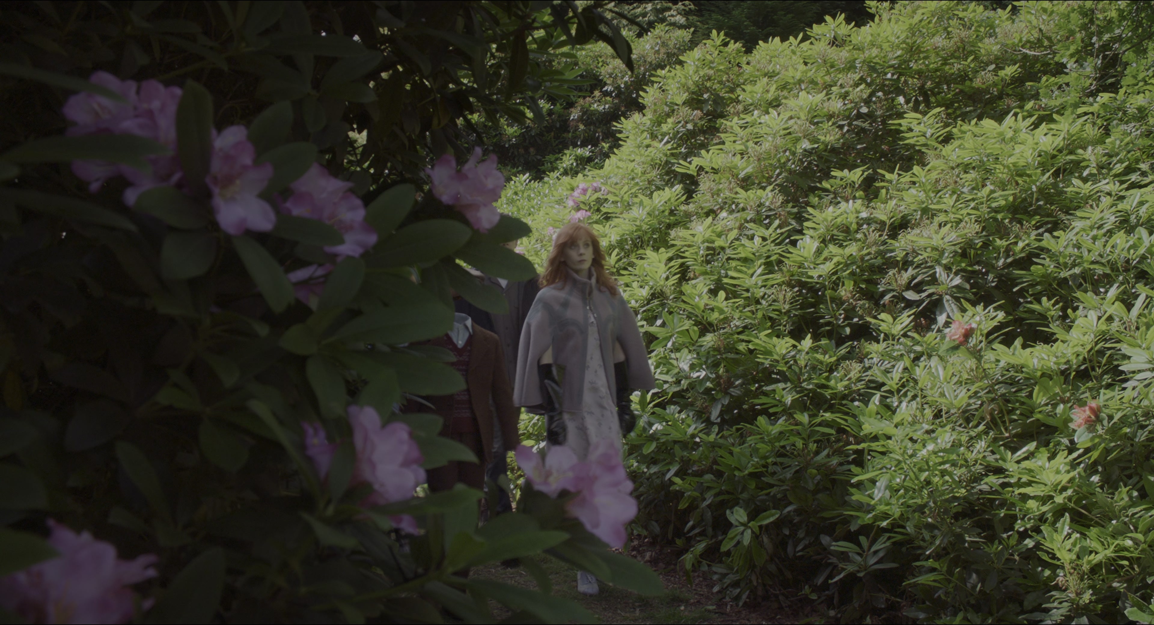 Miss Peregrine's Home for Peculiar Children (2016), wide, 1.85:1 — film still
