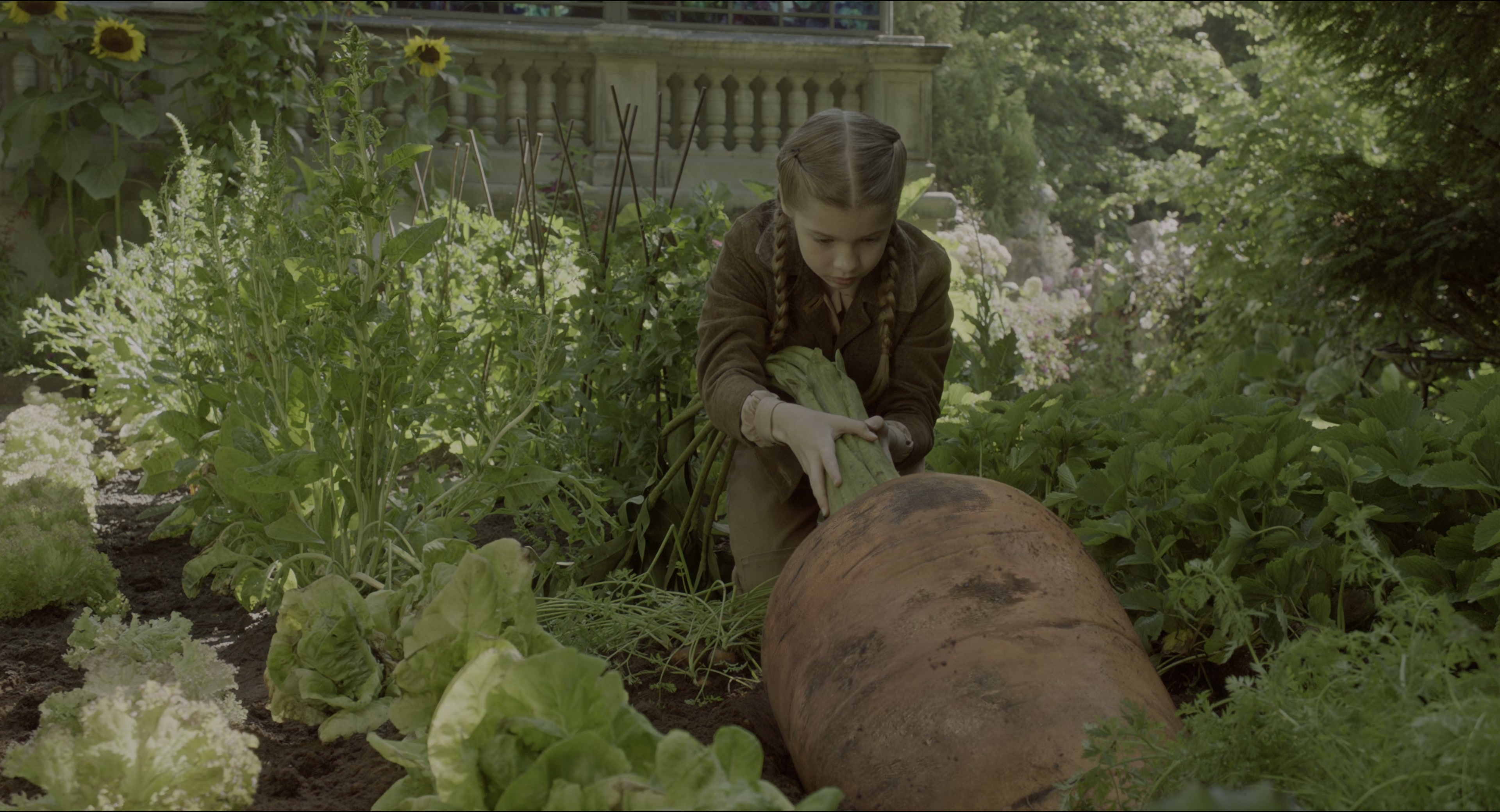 Miss Peregrine's Home for Peculiar Children (2016), wide, 1.85:1 — film still