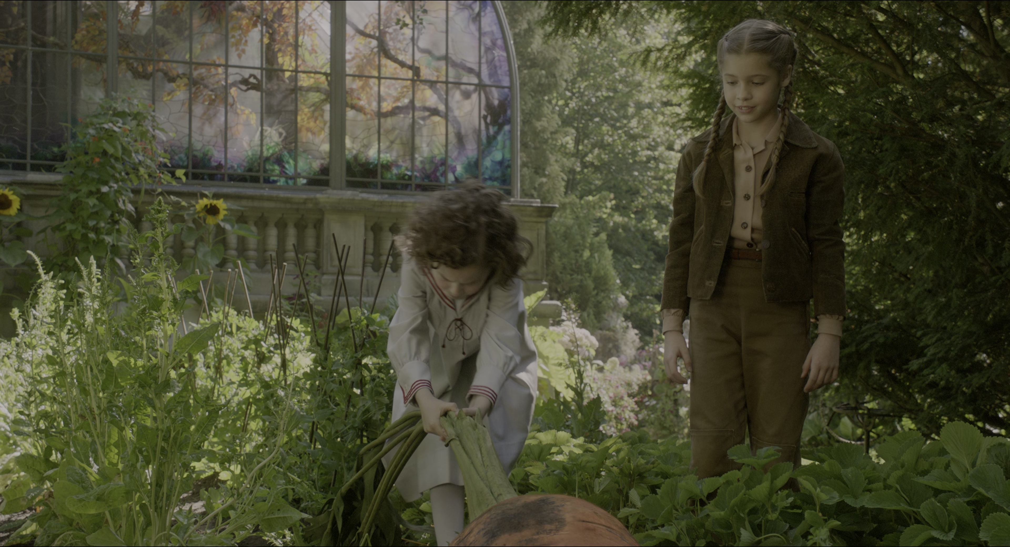 Miss Peregrine's Home for Peculiar Children (2016), wide, 1.85:1 — film still