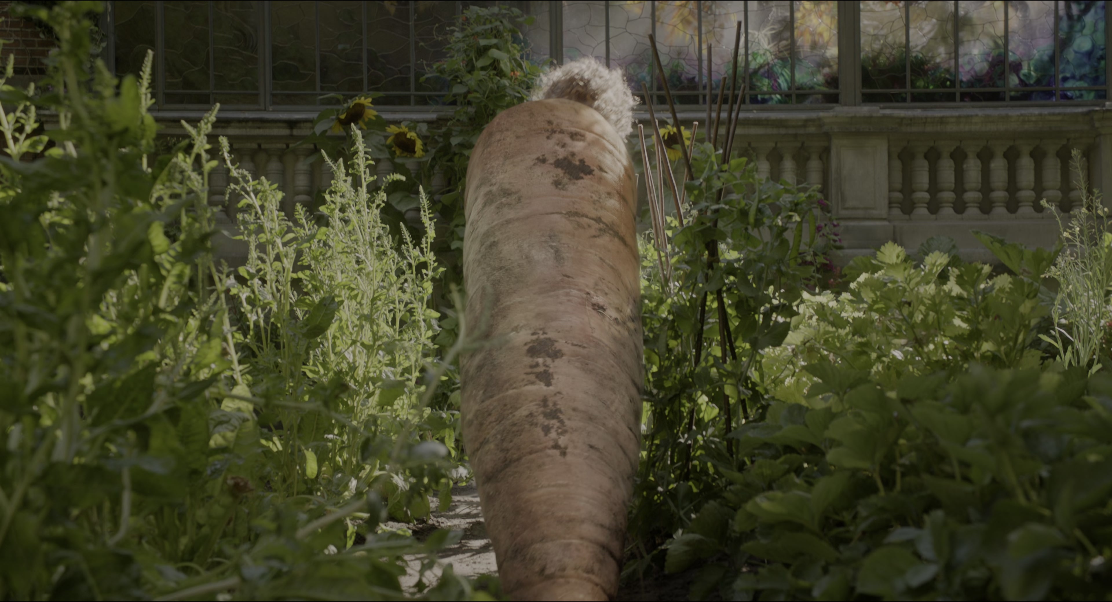 Miss Peregrine's Home for Peculiar Children (2016), wide, 1.85:1 — film still