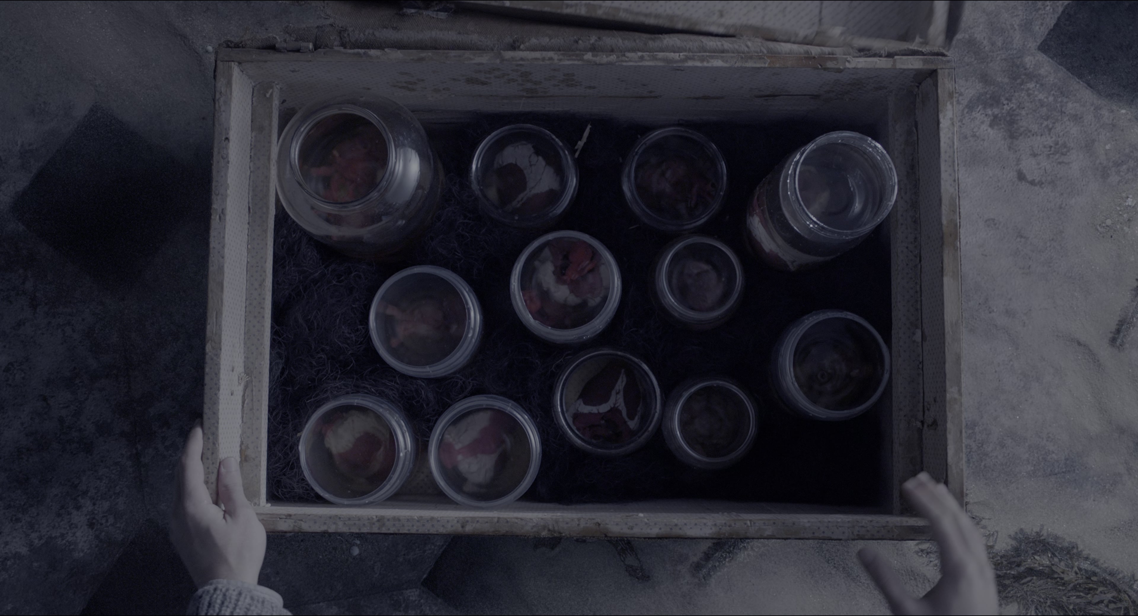 Miss Peregrine's Home for Peculiar Children (2016), wide, 1.85:1 — film still
