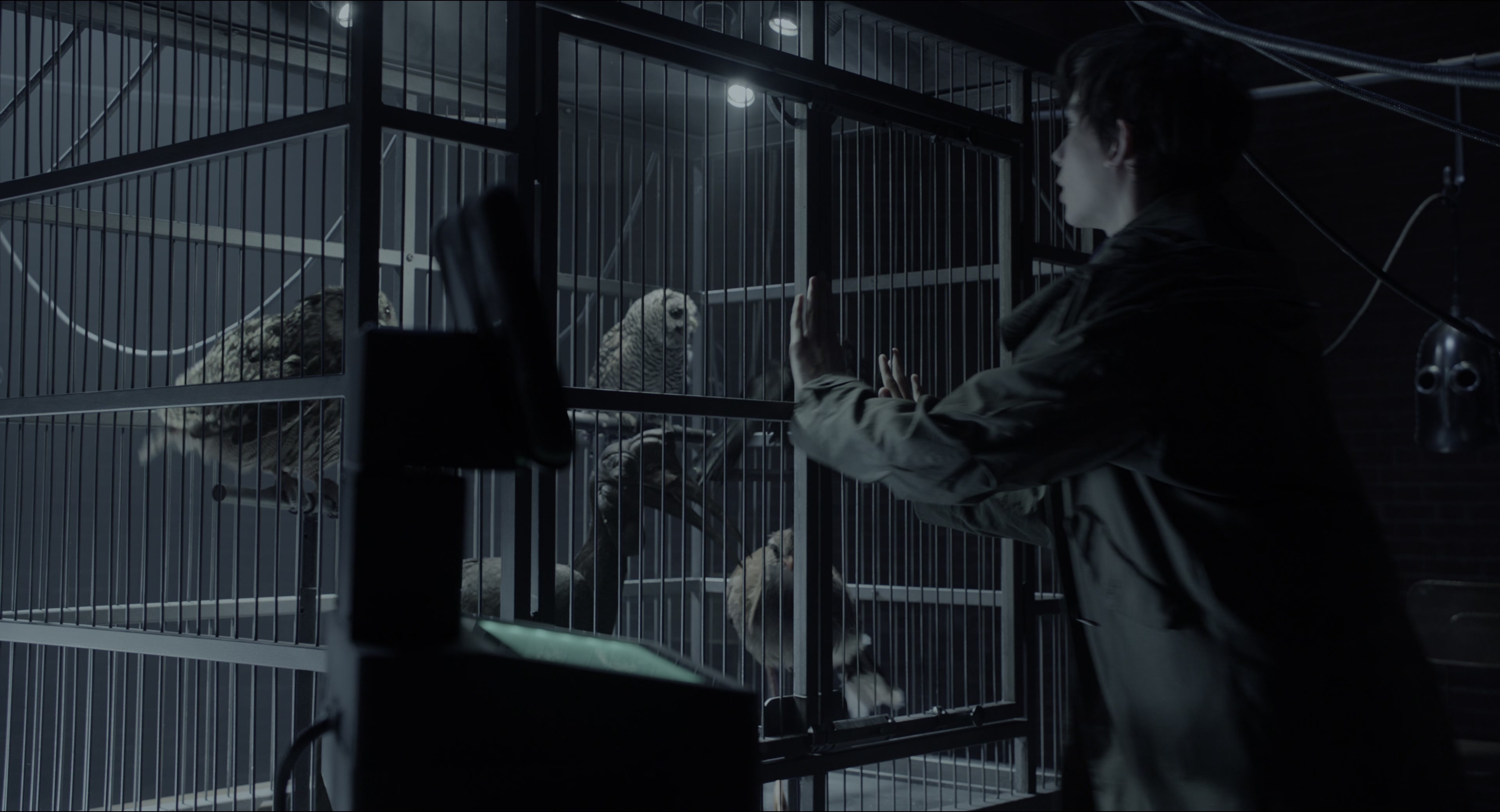 Miss Peregrine's Home for Peculiar Children (2016), wide, 1.85:1 — film still