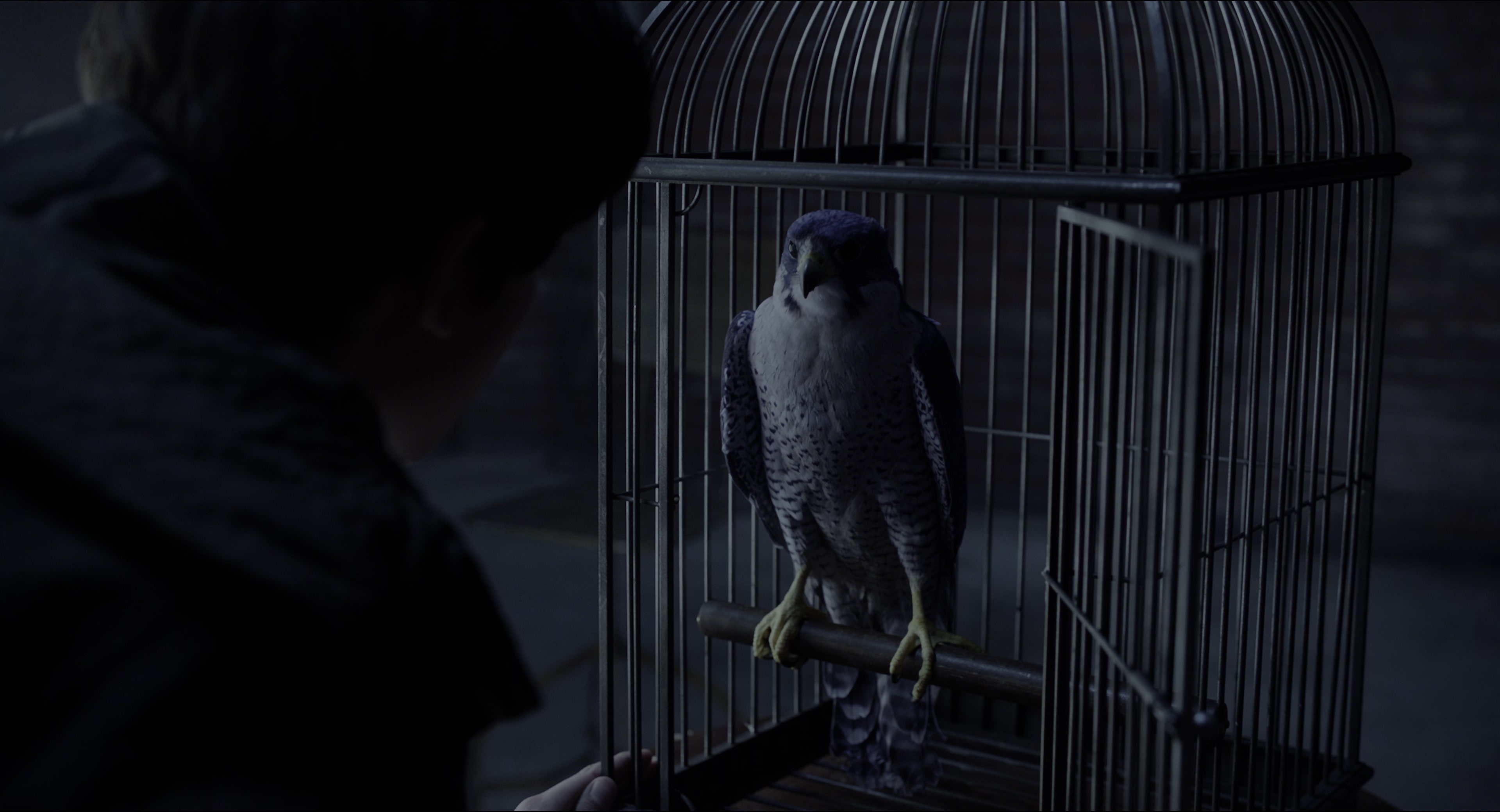 Miss Peregrine's Home for Peculiar Children (2016), wide, 1.85:1 — film still
