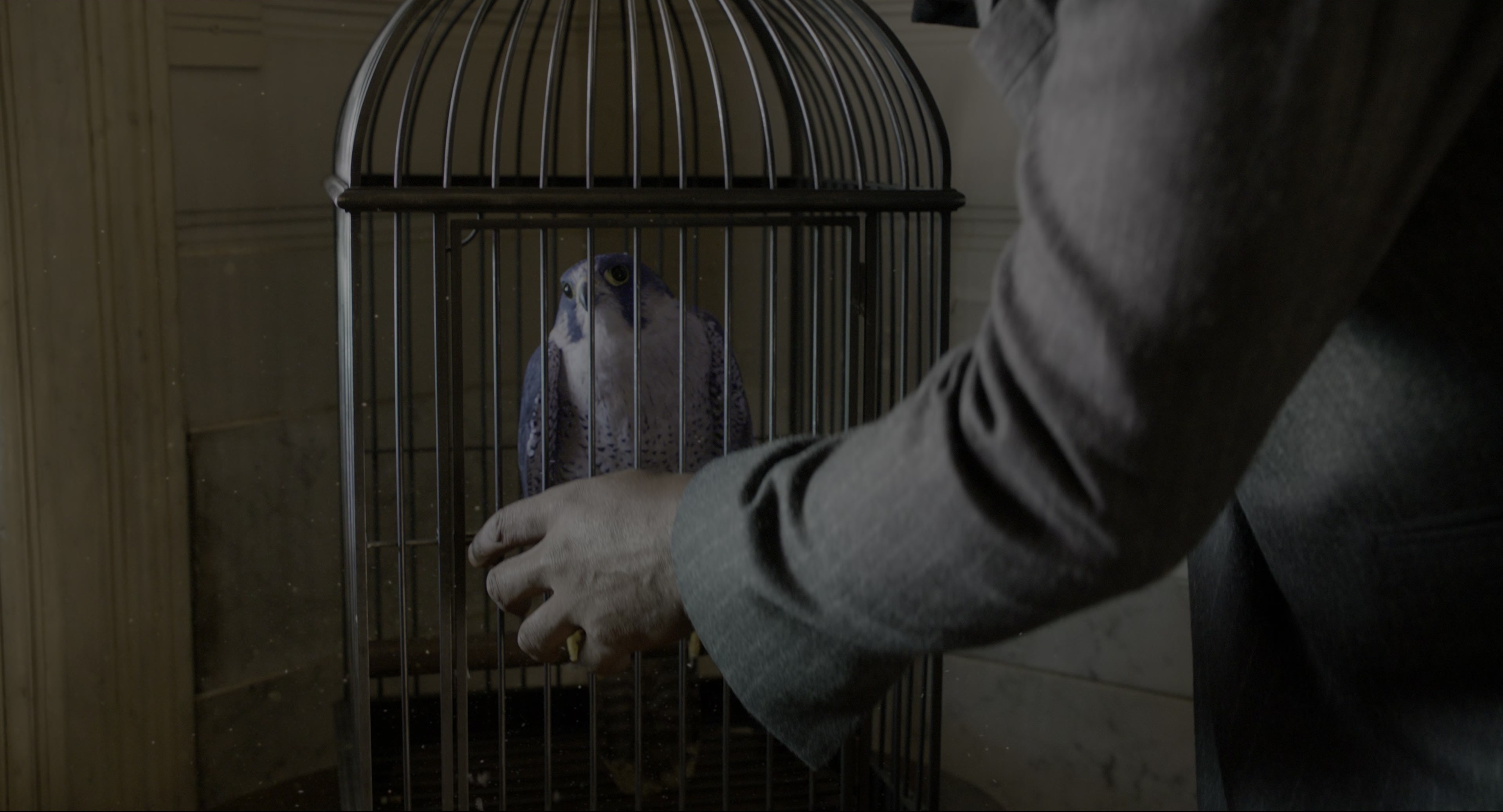 Miss Peregrine's Home for Peculiar Children (2016), wide, 1.85:1 — film still