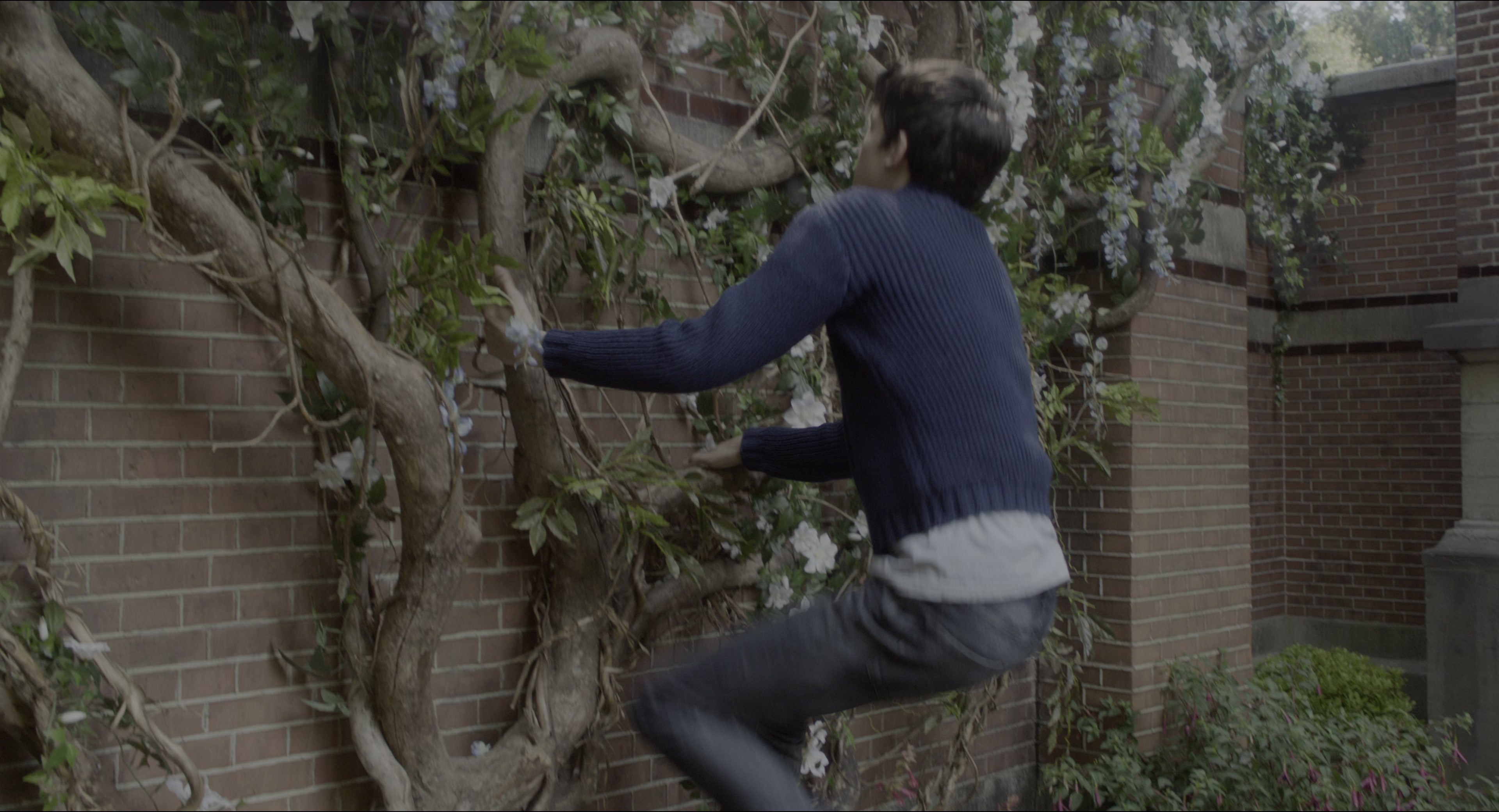 Miss Peregrine's Home for Peculiar Children (2016), wide, 1.85:1 — film still