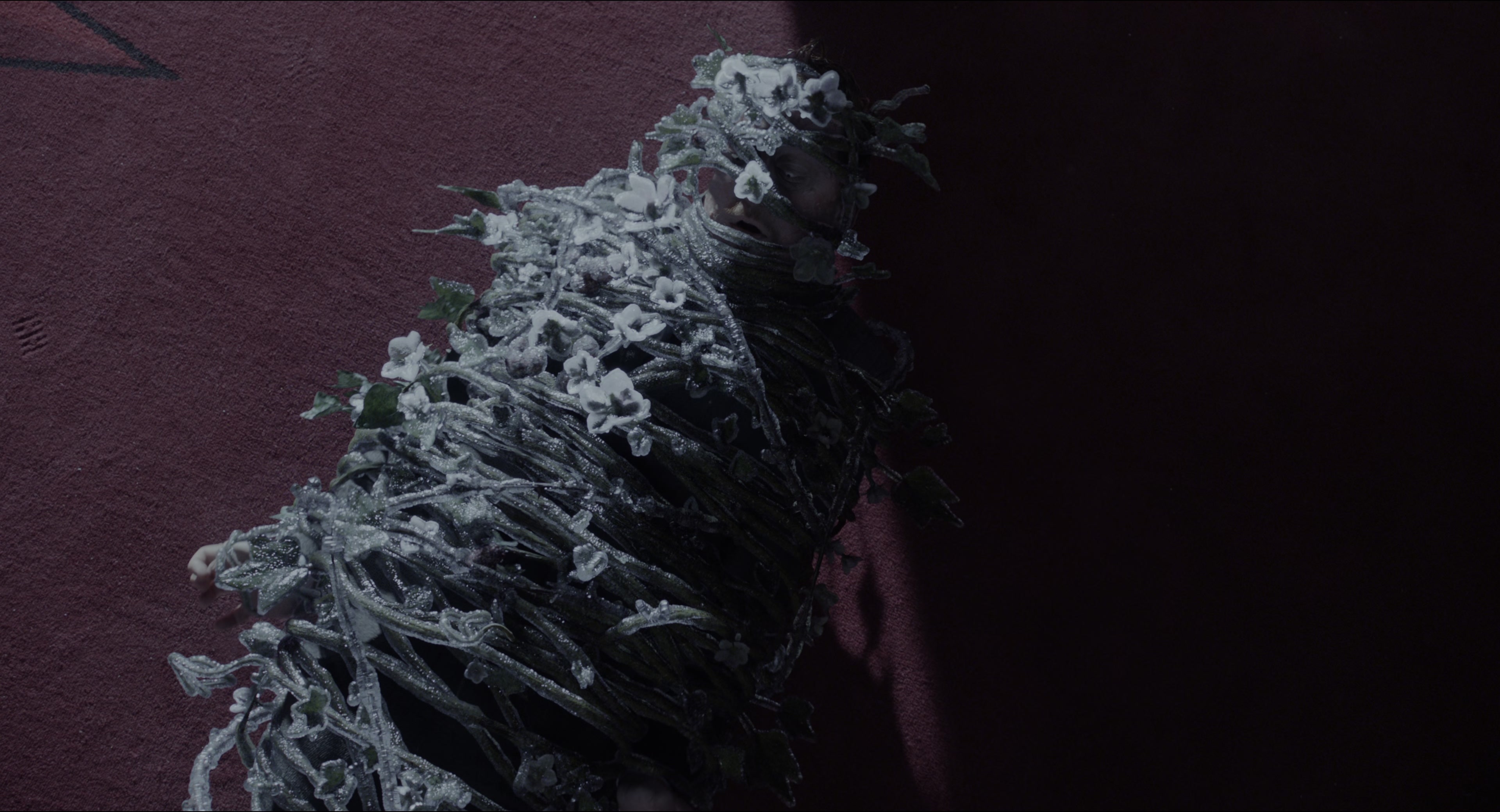 Miss Peregrine's Home for Peculiar Children (2016), wide, 1.85:1 — film still