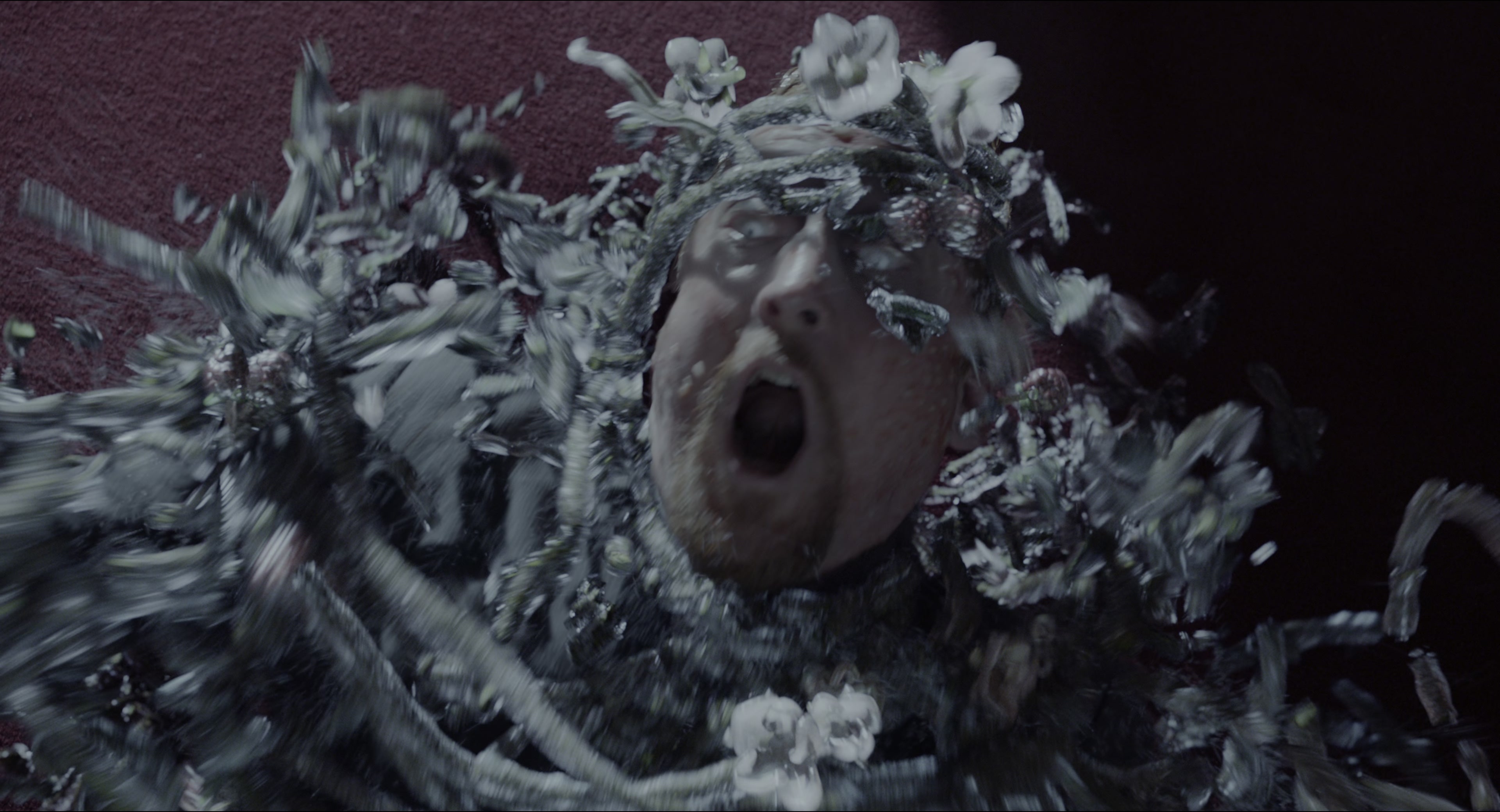 Miss Peregrine's Home for Peculiar Children (2016), wide, 1.85:1 — film still