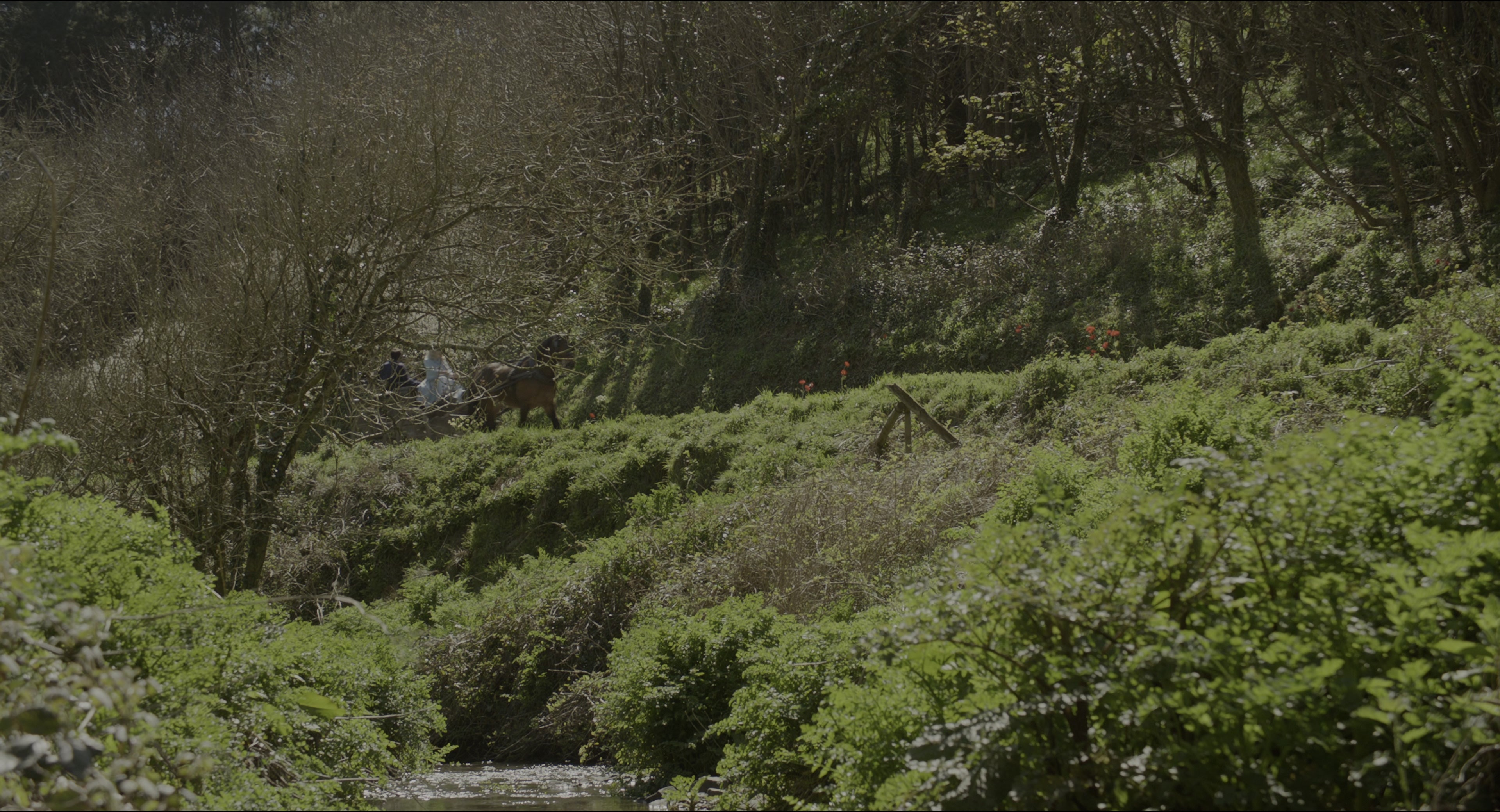Miss Peregrine's Home for Peculiar Children (2016), wide, 1.85:1 — film still
