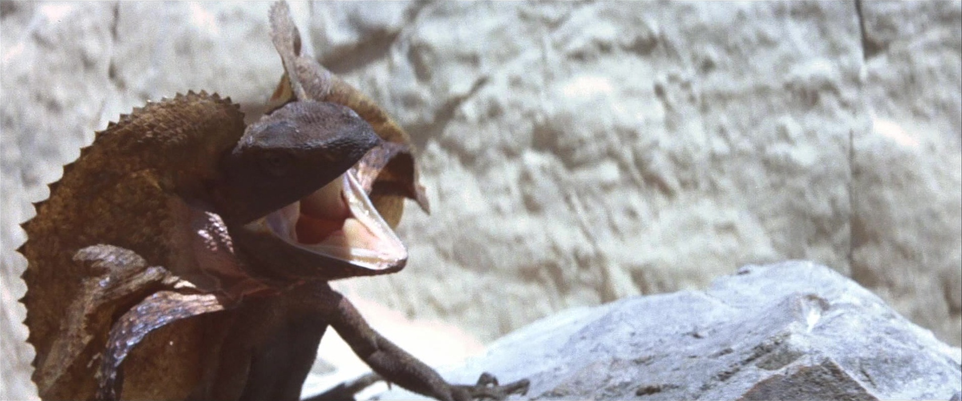 Mad Max Beyond Thunderdome (1985), unknown, 2.40:1 — film still