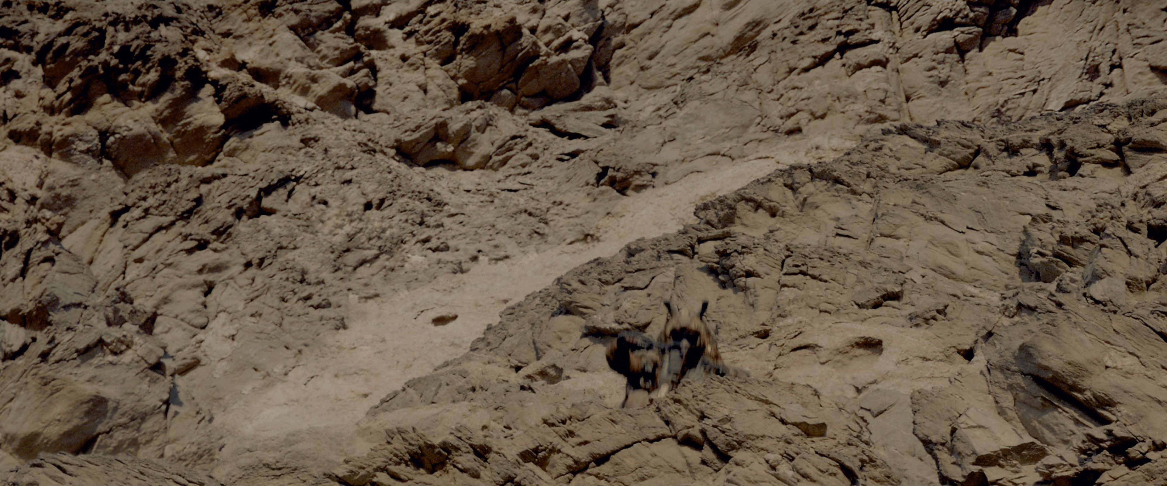 Mad Max: Fury Road (2015), wide, 2.40:1 — film still