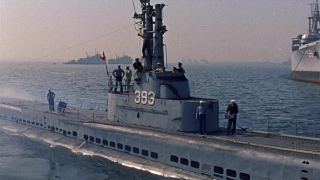 seria-926343.jpg