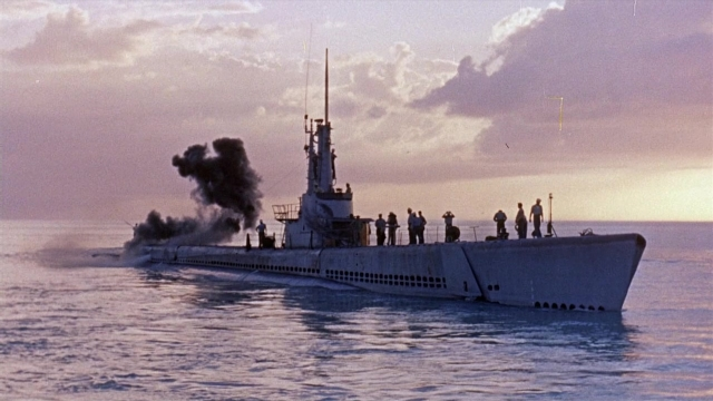 seria-986612.jpg