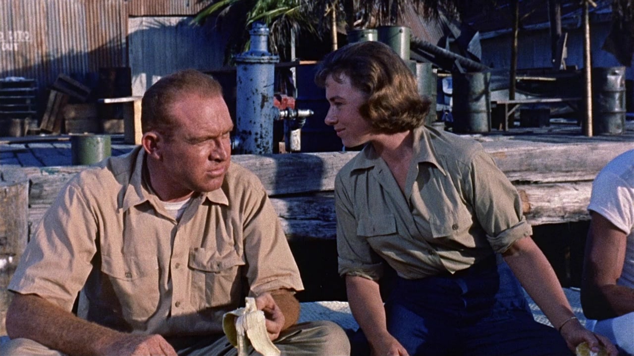 Operation Petticoat (1959), wide, 1.78:1 — film still