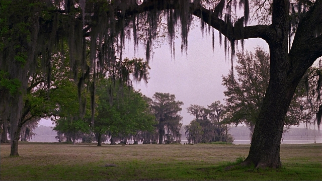 seria-609776.jpg