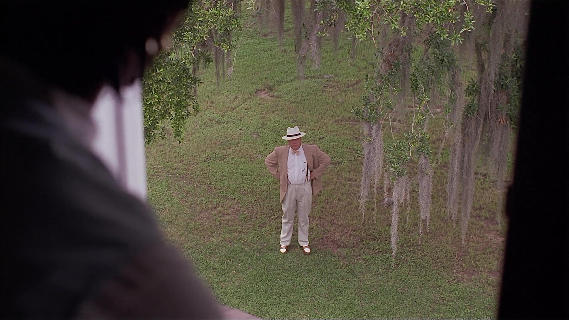 Passion Fish (1992), wide, 1.78:1 — film still