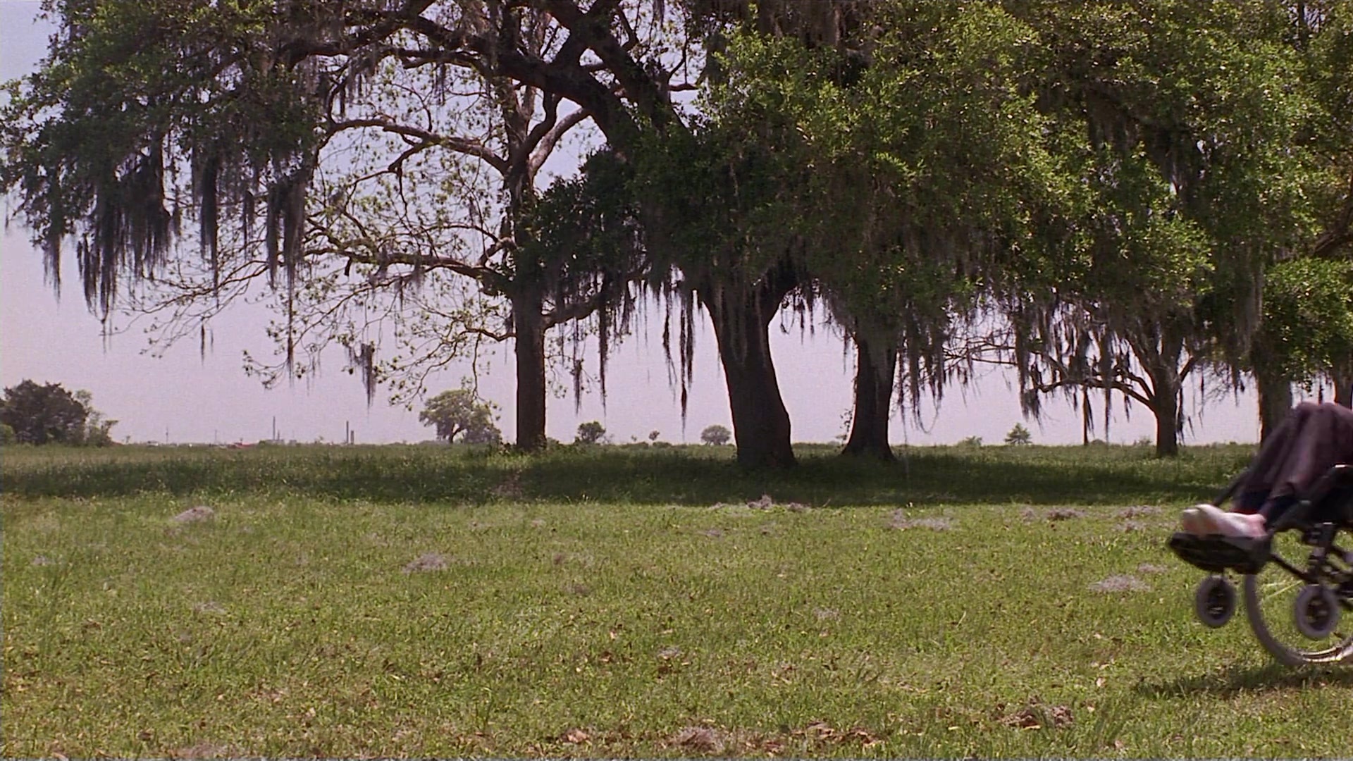 Passion Fish (1992), wide, 1.78:1 — film still
