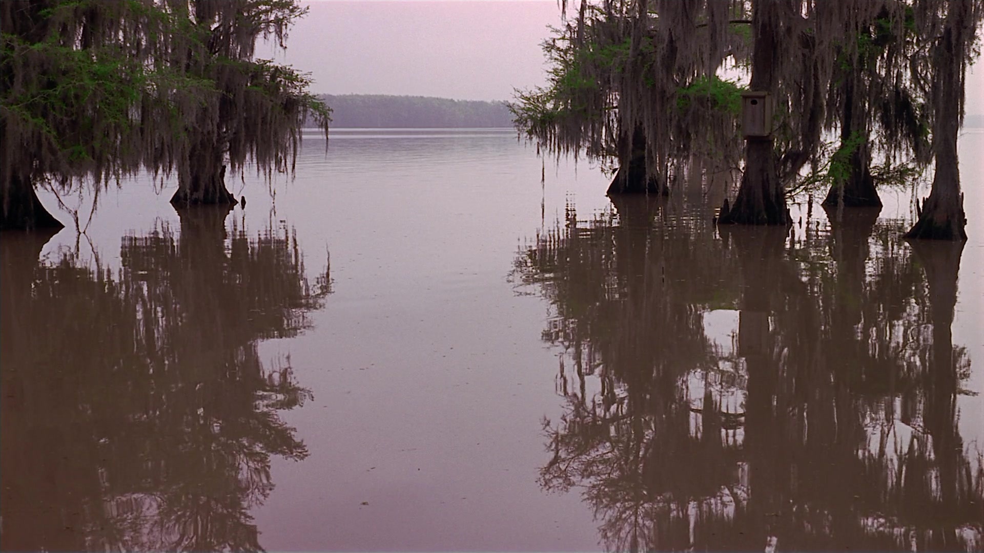 Passion Fish (1992), wide, 1.78:1 — film still