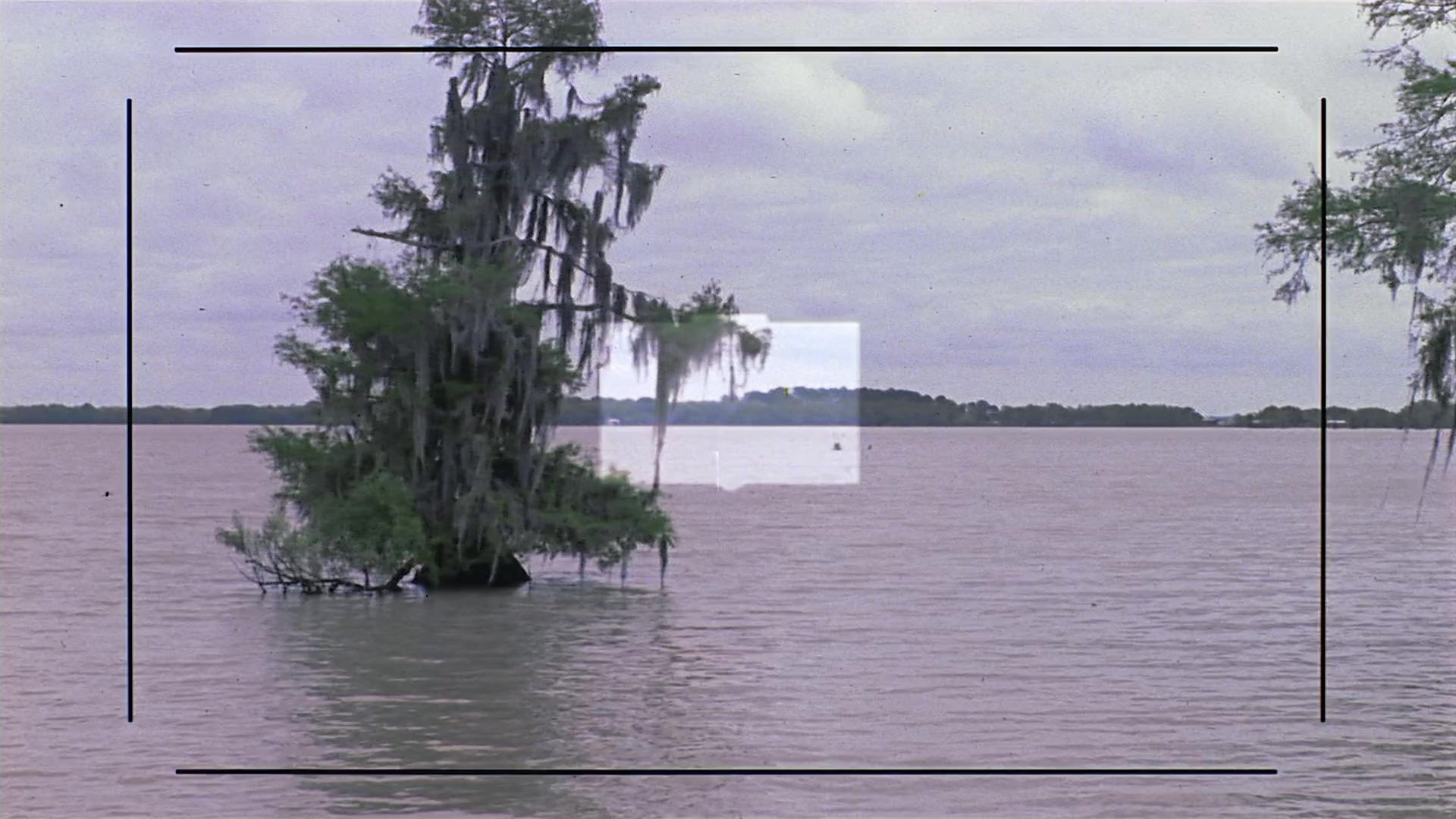 Passion Fish (1992), unknown, 1.78:1 — film still