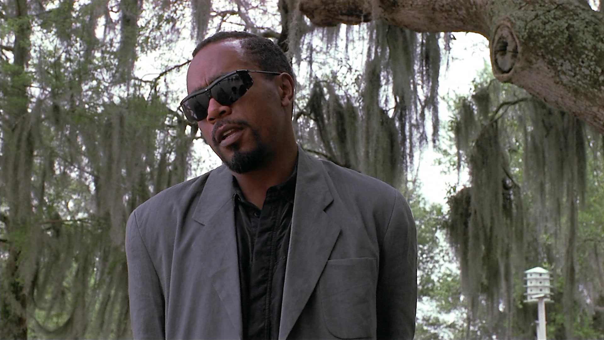 Passion Fish (1992), wide, 1.78:1 — film still
