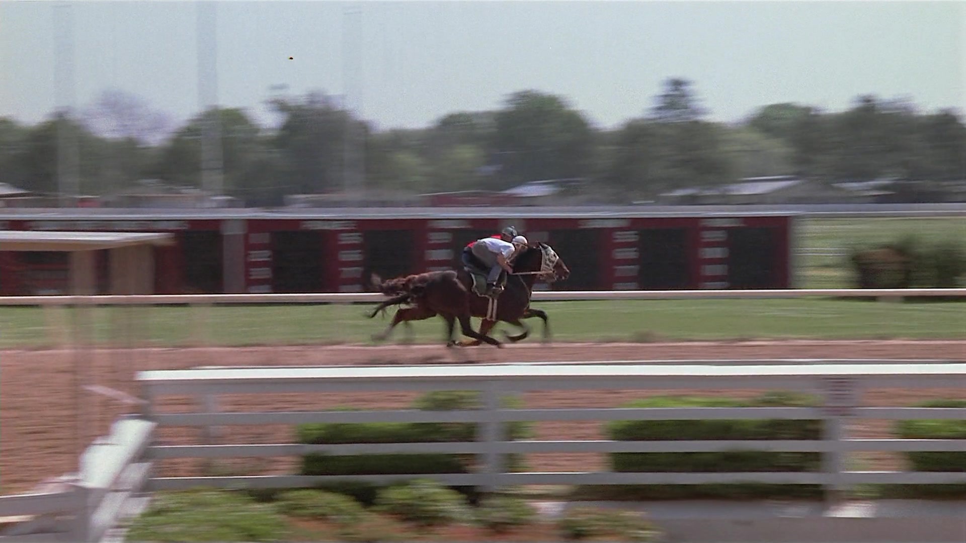 Passion Fish (1992), unknown, 1.78:1 — film still