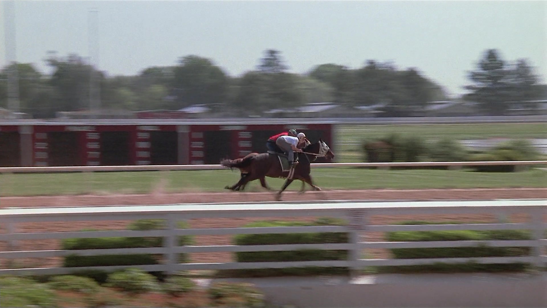 Passion Fish (1992), unknown, 1.78:1 — film still
