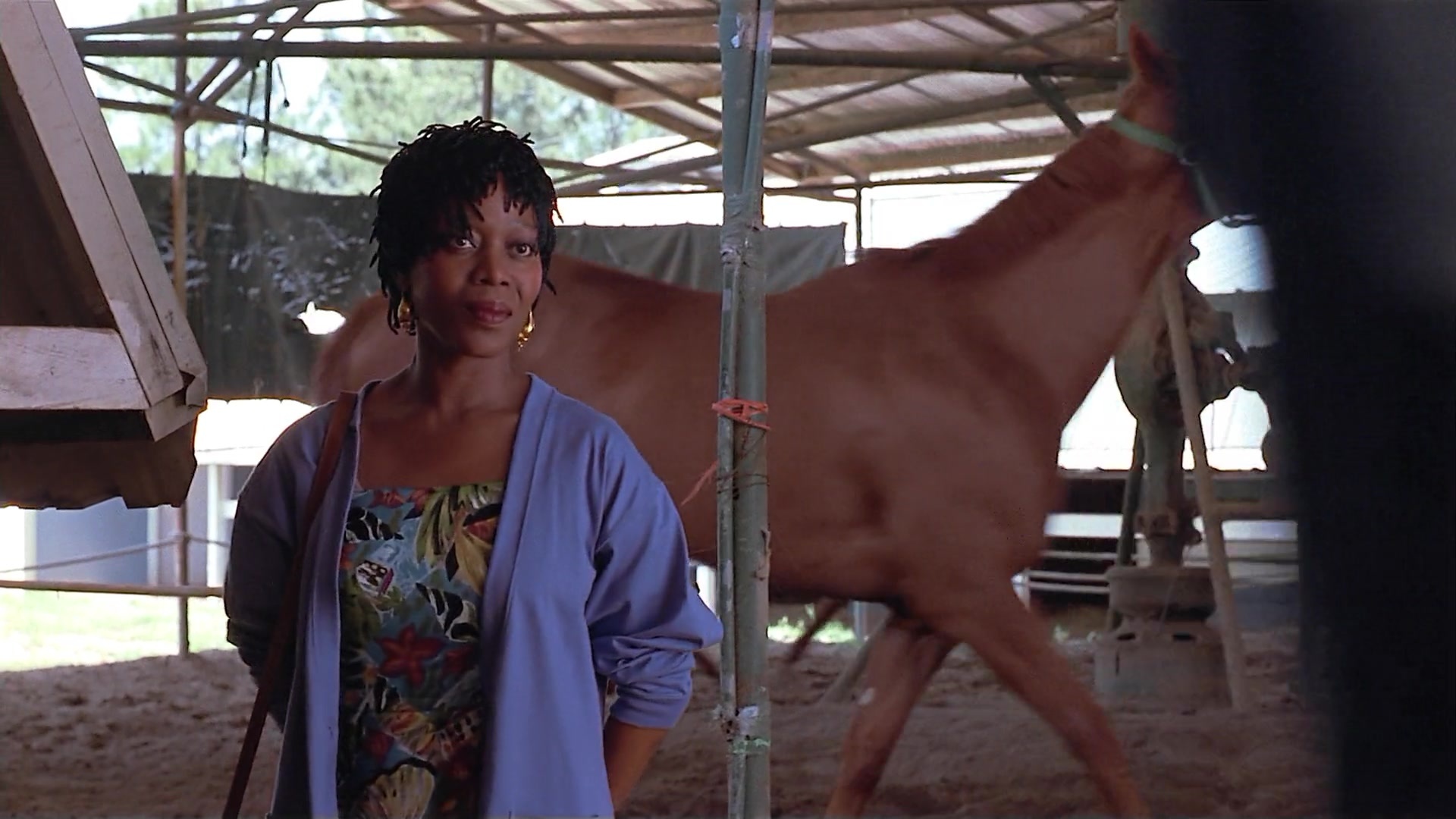 Passion Fish (1992), wide, 1.78:1 — film still