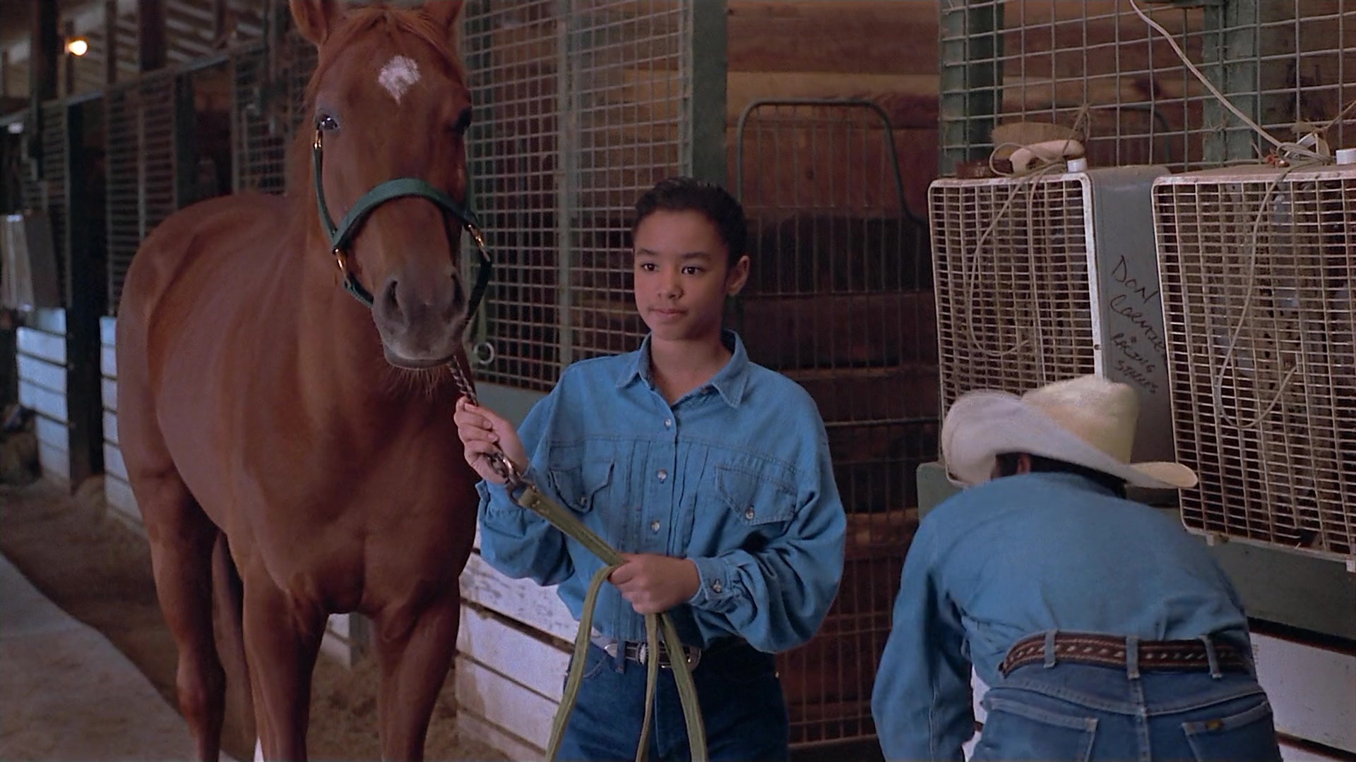 Passion Fish (1992), wide, 1.78:1 — film still