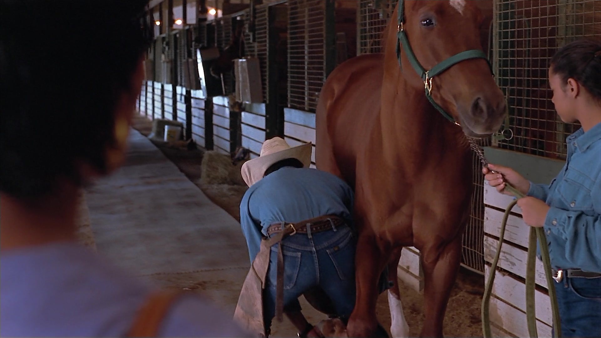 Passion Fish (1992), wide, 1.78:1 — film still