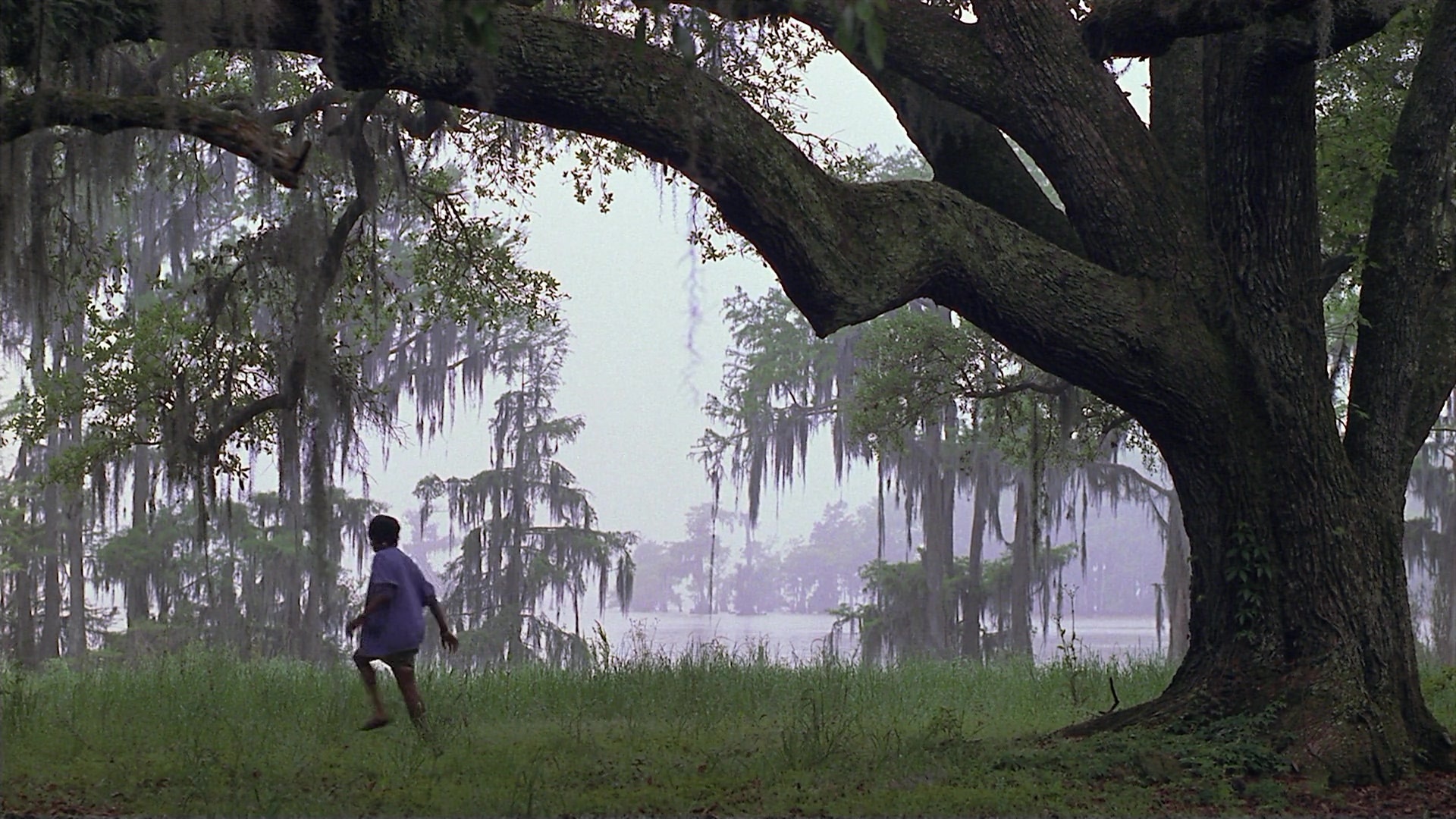 Passion Fish (1992), wide, 1.78:1 — film still
