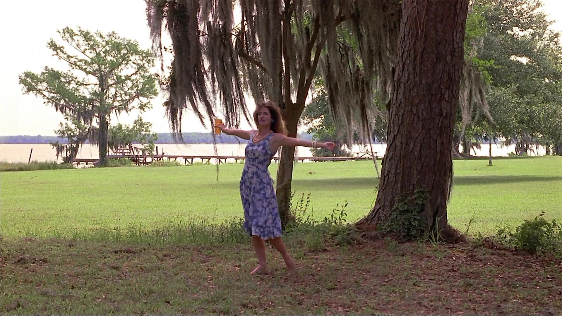 Passion Fish (1992), wide, 1.78:1 — film still