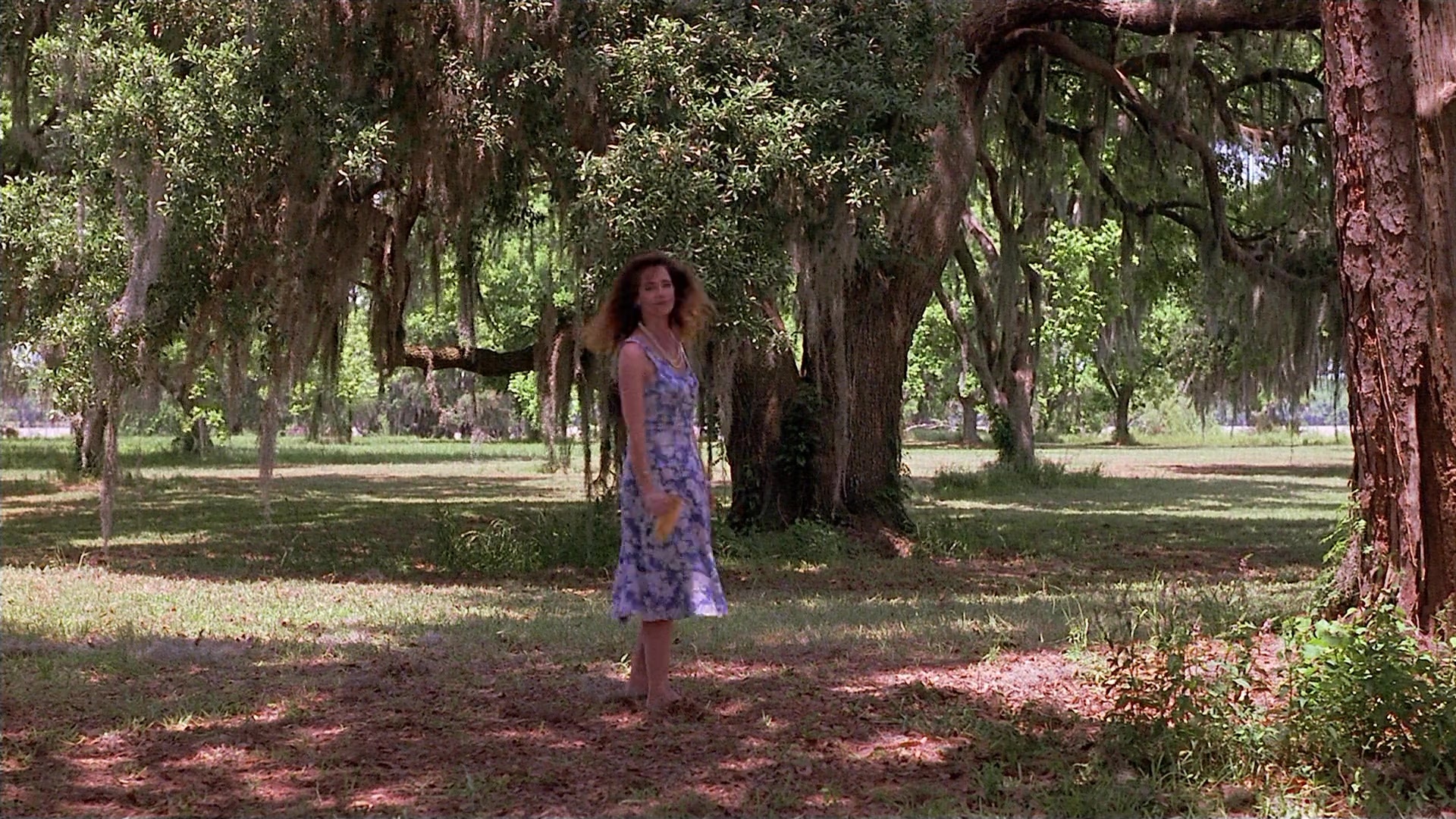 Passion Fish (1992), wide, 1.78:1 — film still