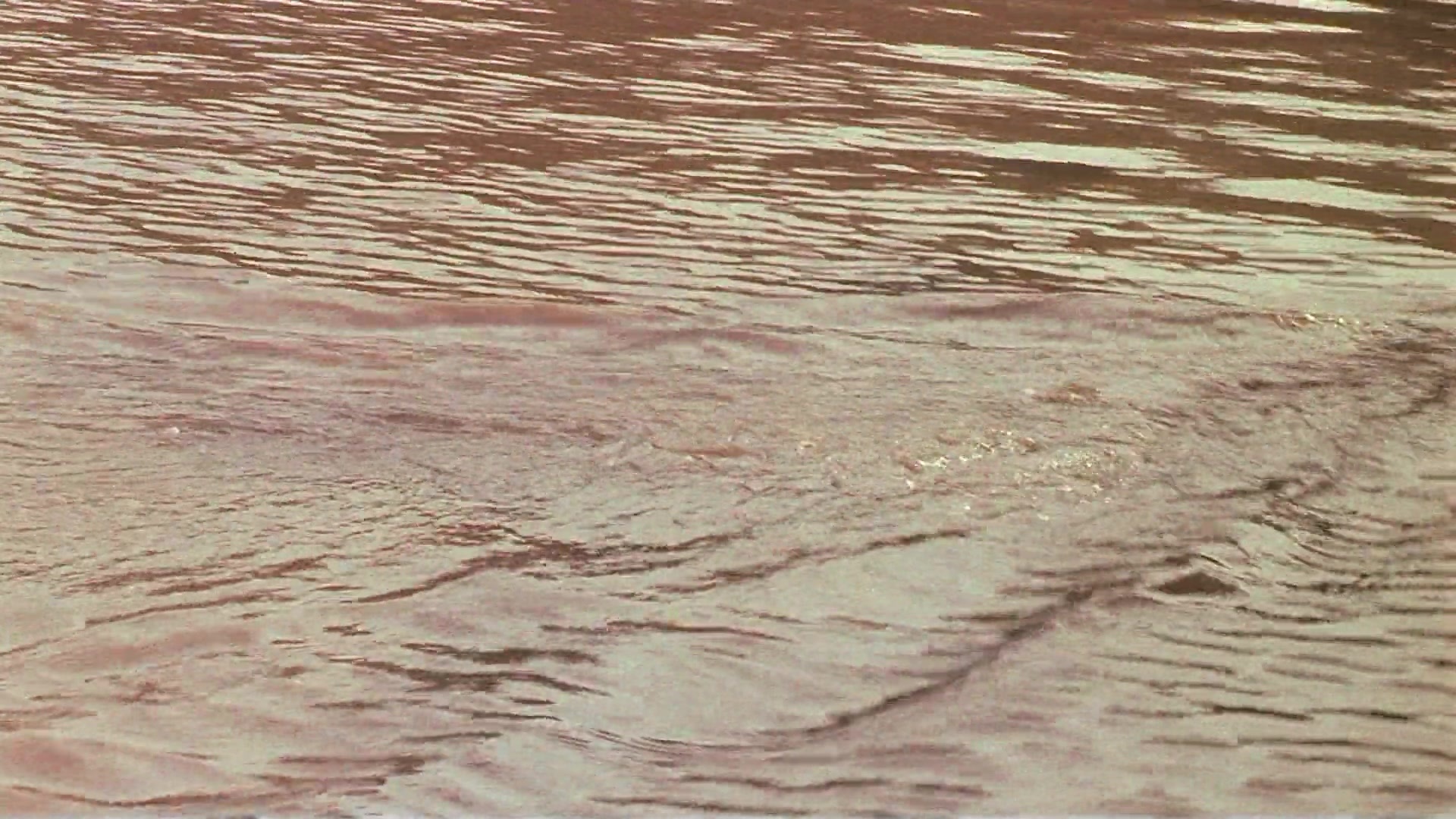 Passion Fish (1992), unknown, 1.78:1 — film still